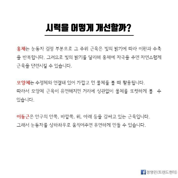 [스압] 시력 0.3에서 1.5로 바꾸는 기적적인 시력 향상법