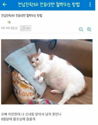 효과 확실한 전 남친 퇴치법