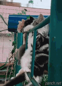 철봉 오래 매달리기.gif