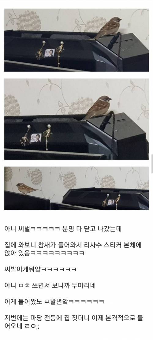 캄본갤 새줍 레전드...jpg