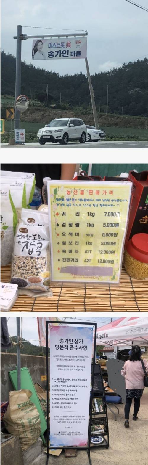 송가인 진도 집.jpg