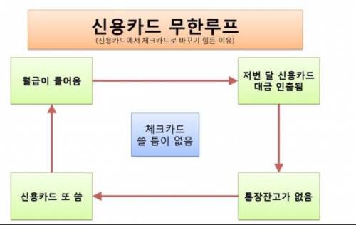 신용카드 무한루프.jpg