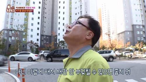 [스압] 산을 깎아 건물을 지은후 박새들의 때죽음