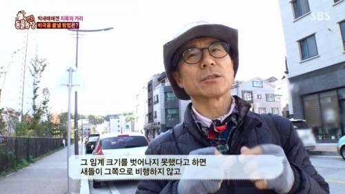 [스압] 산을 깎아 건물을 지은후 박새들의 때죽음