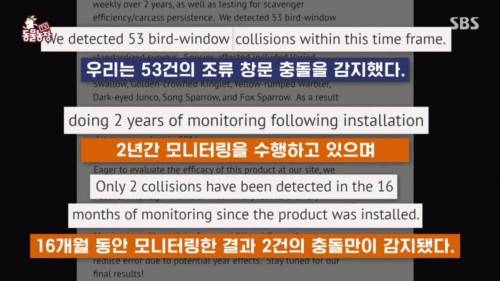 [스압] 산을 깎아 건물을 지은후 박새들의 때죽음