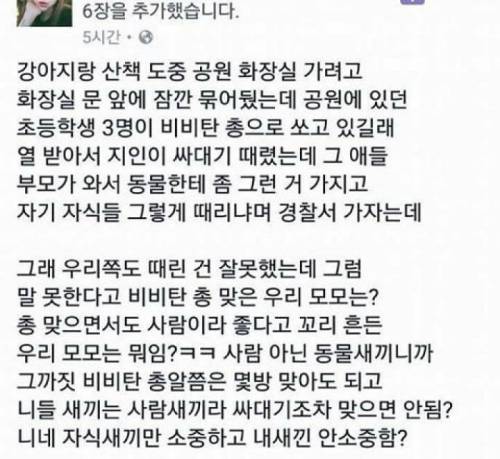 강아지한테 비비탄총 쏜 초딩 싸대기때림