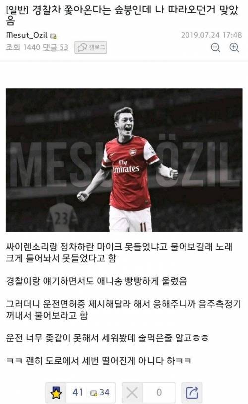운전을 너무 못해서 경찰에게 쫓긴 디씨인
