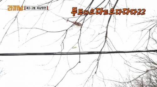 프로 방송인 강호동이 후시녹음 하는 방법.jpg