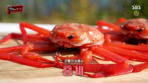 [스압] 강원도 감자를 살린 백종원.jpg