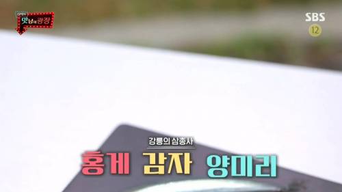 [스압] 강원도 감자를 살린 백종원.jpg