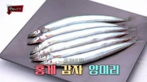 [스압] 강원도 감자를 살린 백종원.jpg