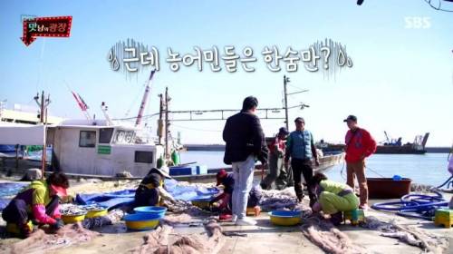 [스압] 강원도 감자를 살린 백종원.jpg