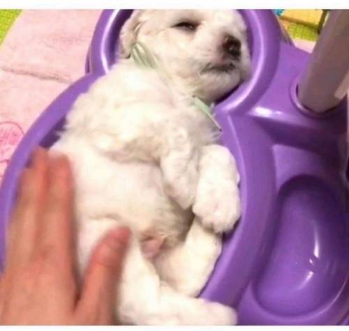 물침대.jpg