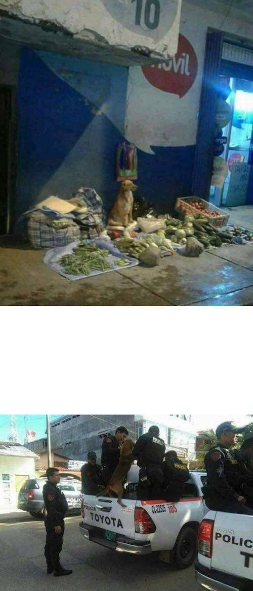 불법 노점상 단속.jpg