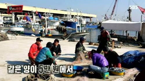 [스압] 강원도 감자를 살린 백종원.jpg