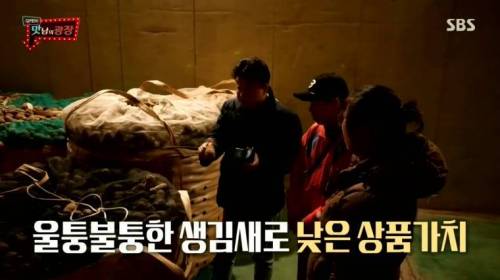 [스압] 강원도 감자를 살린 백종원.jpg