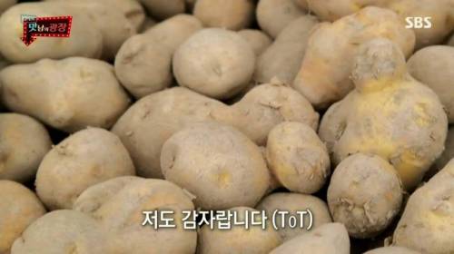 [스압] 강원도 감자를 살린 백종원.jpg