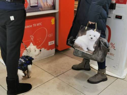 [스압] 러시아.....아...러시아.jpg