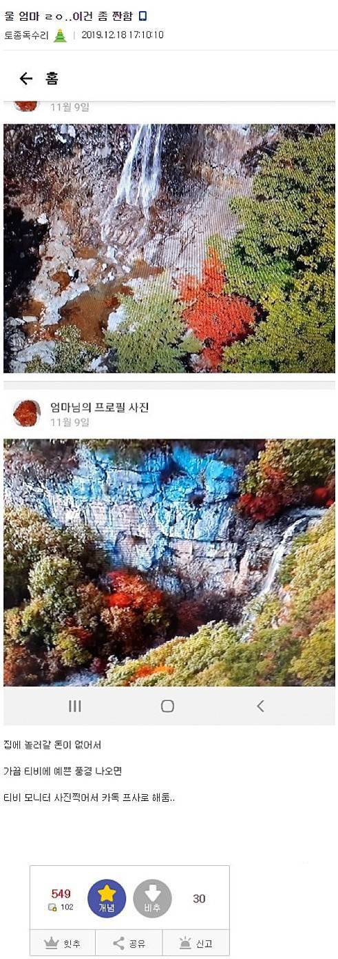야갤러의 엄마 카톡 프사 대공개.jpg