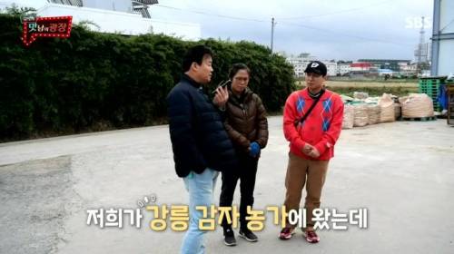 [스압] 강원도 감자를 살린 백종원.jpg