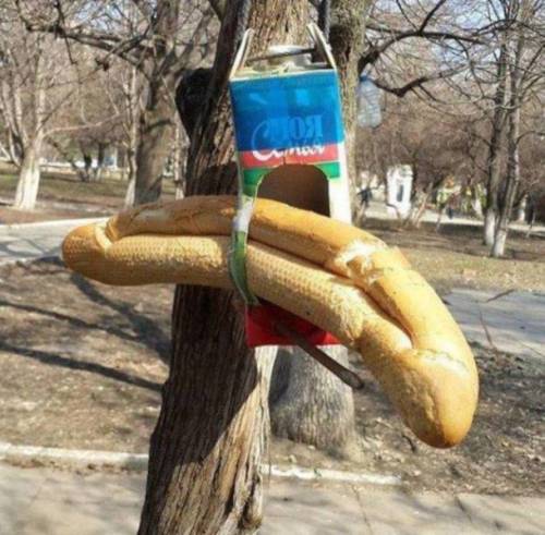[스압] 러시아.....아...러시아.jpg