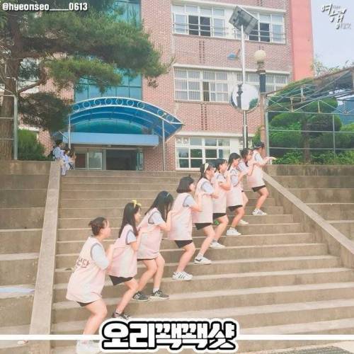 [스압] 단체사진 인싸처럼 찍는 법.jpg