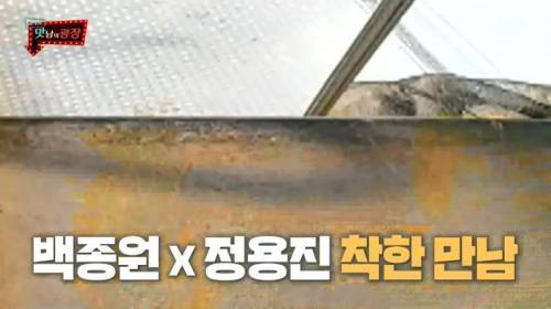 [스압] 강원도 감자를 살린 백종원.jpg