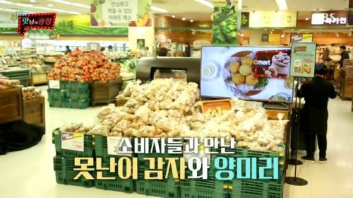 [스압] 강원도 감자를 살린 백종원.jpg