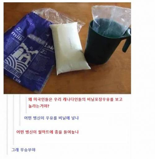 미국인과 캐나다인 싸움.jpg