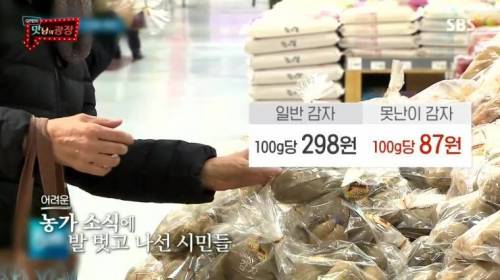 [스압] 강원도 감자를 살린 백종원.jpg