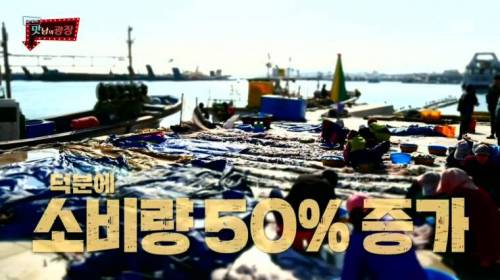 [스압] 강원도 감자를 살린 백종원.jpg