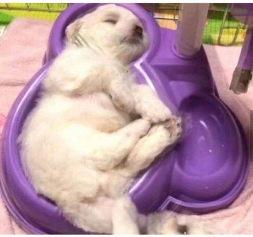 물침대.jpg
