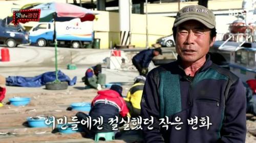 [스압] 강원도 감자를 살린 백종원.jpg