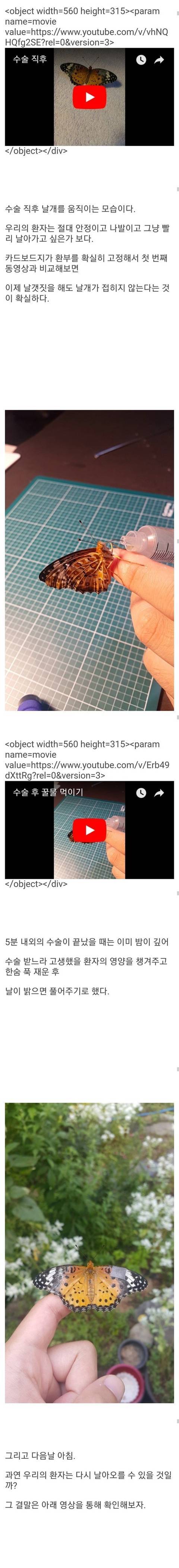 [스압] 부러진 나비날개 고쳐준 디씨인.jpg