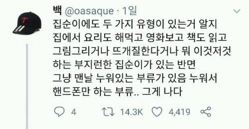 집순이 두가지 유형.jpg