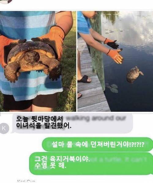 거북이를 방생해줬다