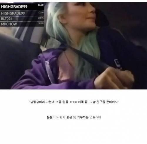 [스압] 우버 타다가 매춘부로 오해 받은 스트리머.jpg
