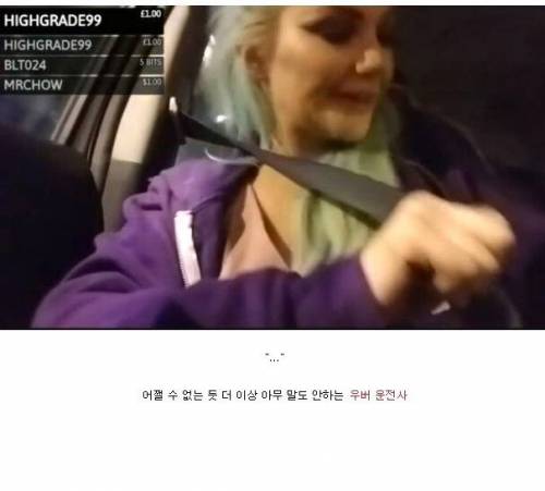 [스압] 우버 타다가 매춘부로 오해 받은 스트리머.jpg