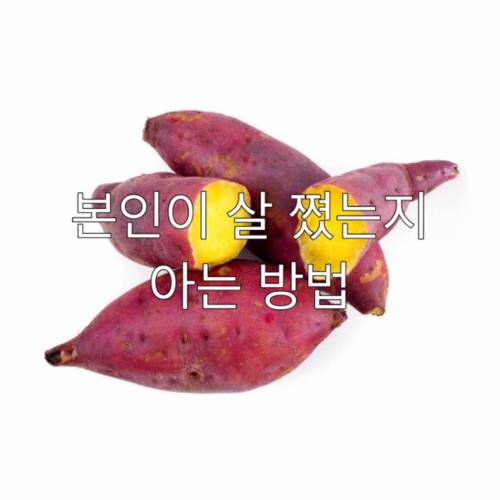 본인이 살쪘는지 아는 방법.jpg