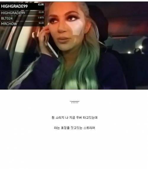[스압] 우버 타다가 매춘부로 오해 받은 스트리머.jpg