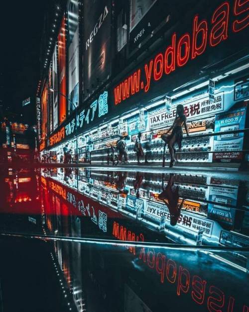 어느 작가의 사진 찍는 방법