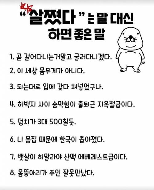 ‘살쪘다’는 말 대신 하면 좋은말