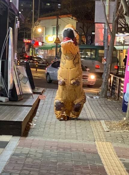 공룡옷 입고 나돌아댕긴 후기.jpg
