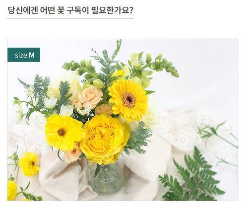 [스압] 생각보다 다양한 정기구독 서비스.jpg