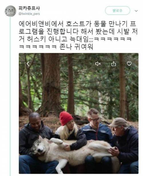 개과동물의 한계.jpg