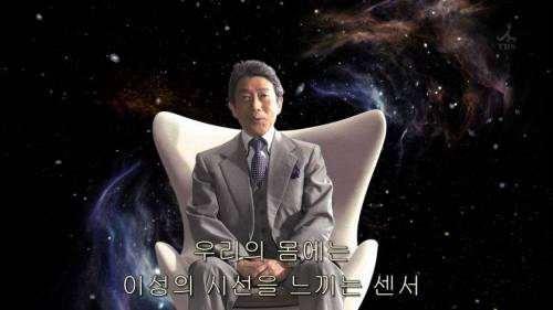 [스압] 남녀가 사랑에 빠지는 시간.jpg