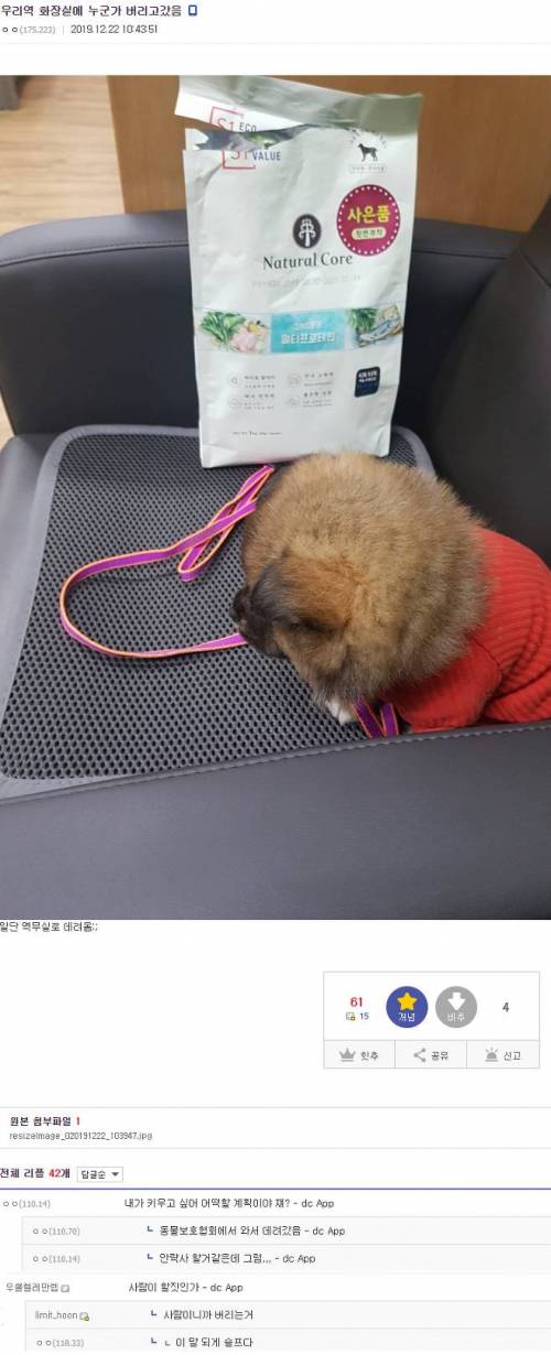 요즘 강아지 버리는 법에 화들짝 놀란 공익