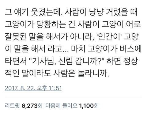 사람이 야옹거리면 고양이가 당황하는 이유