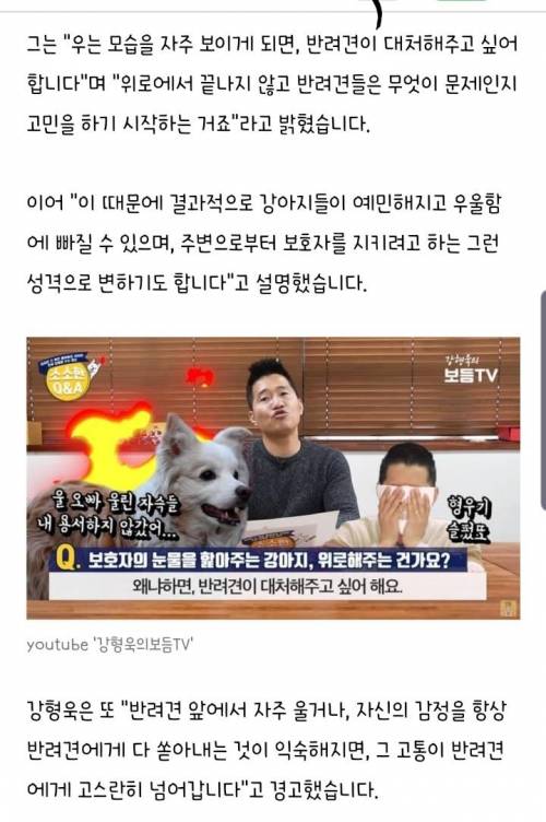 댕댕이 앞에서 우는 모습을 자주 보여주면 안되는 이유