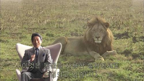 [스압] 남녀가 사랑에 빠지는 시간.jpg